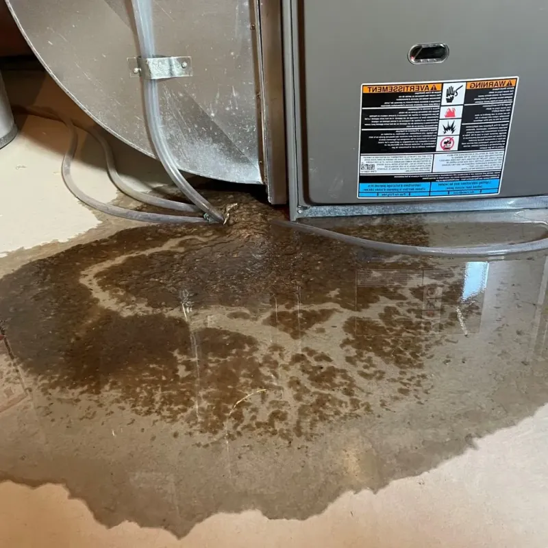 Pipe Burst and Leak Restoration in Castleton, VT